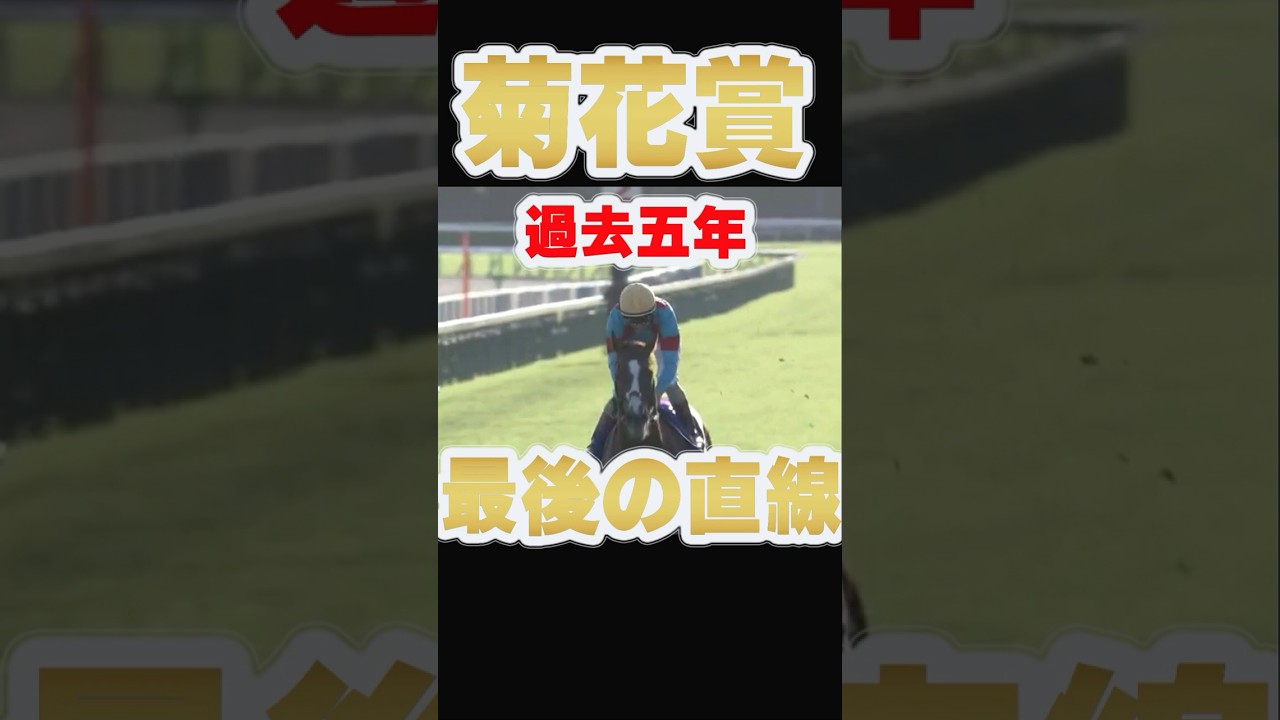 【菊花賞】過去5年最後の直線 #競馬 #菊花賞 【菊花賞】過去5年最後の直線 #競馬 #菊花賞