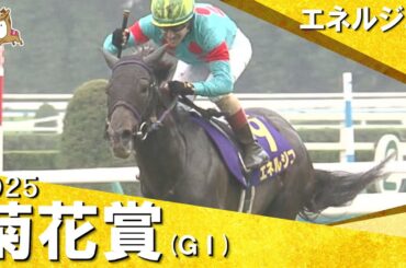 2025年 菊花賞(ＧⅠ) エネルジコ　実況：川島壮雄【カンテレ公式】