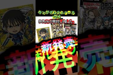 #キングダム #kingdom #親子 #映画 #アニメ #漫画 #けいふうチャンネル #子供