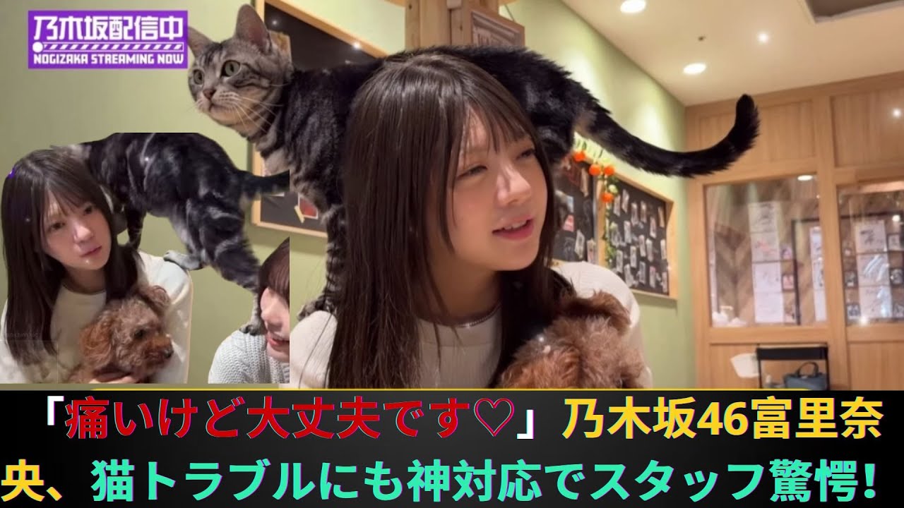 「痛いけど大丈夫です♡」乃木坂46富里奈央、猫トラブルにも神対応でスタッフ驚愕! 「痛いけど大丈夫です♡」乃木坂46富里奈央、猫トラブルにも神対応でスタッフ驚愕!