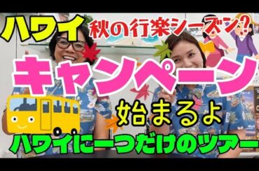 ハワイで1つだけのツアー🤣をご紹介🌈ラニハワイツアーで待ってるよ🤗　秋の行楽シーズン🍂🍁ハワイは常夏だけど『キャンペーン』でたよ！😆