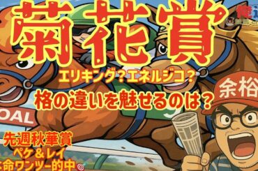 【菊花賞2025】データ×展開×調教 #競馬予想tv