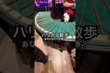 #ハリポタ #ハリーポッター #ハリポタツアー