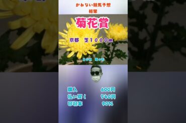 かねない競馬予想【菊花賞】結果