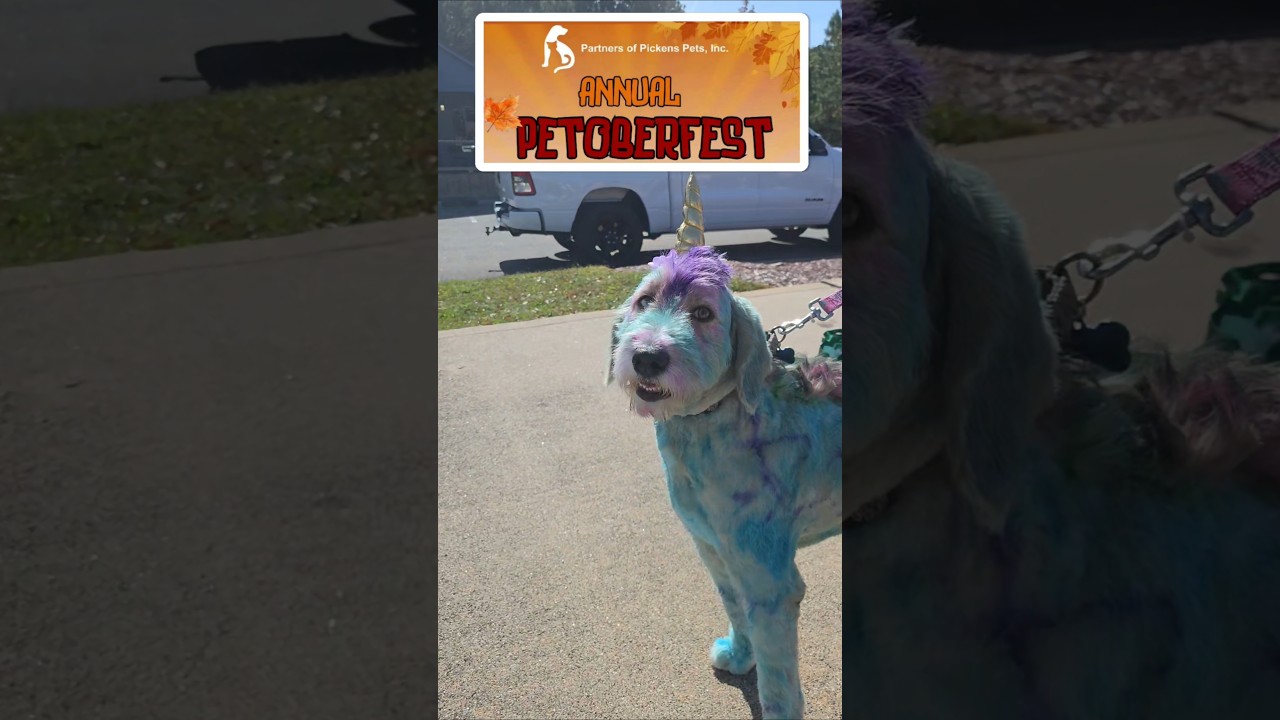 PETOBERFEST PETOBERFEST