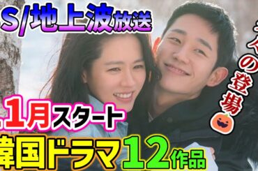 絶対に見逃せない👀🌟【BS/地上波放送】🎃🍁１１月から始まる韓国ドラマ１２作品一挙ご紹介🍁🎃久々あの人気作が登場します☝