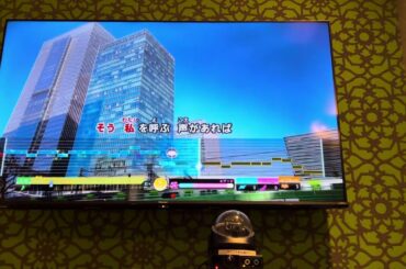 Episode X/Ado 歌ってみた