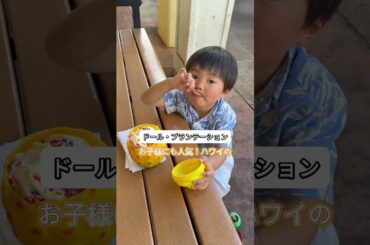 【ハワイ】どこでもプライベートツアー・8月21日N様 #カワイイハワイツアー #ハワイツアー #ハワイ #カイルア #ハワイチャーターツアー