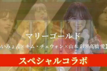 マリーゴールド【あいみょん× キム・チェウォン×山本彩×高橋愛】#LESSERAFIM #ルセラフィム #NMB48 #ミニモニ