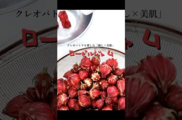 クレオパトラも愛した✨癒し×美肌🌺ローゼルジャム