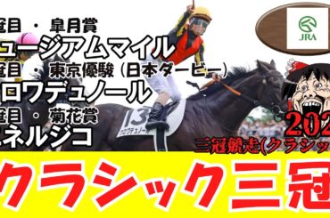 【競馬まとめ 2025】 クラシック三冠 （皐月賞・東京優駿 (日本ダービー)・菊花賞）