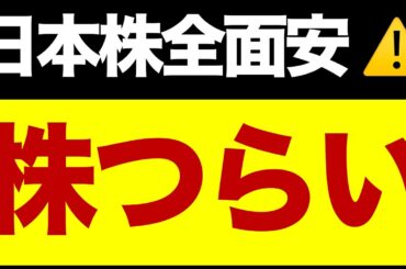 日本株が全面安⚠️急いで売るべき？