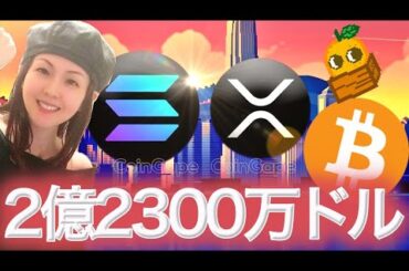 XRPファンド立ち上げ上昇の兆候 ビットコイン底値のサイン JPYCで便利になる