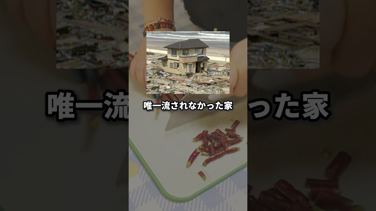 東日本大震災で唯一津波に流されなかった家「H邸」 #ミステリー #衝撃の事実 東日本大震災で唯一津波に流されなかった家「H邸」 #ミステリー #衝撃の事実
