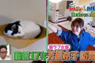 「嗚呼!!みんなの動物園」11月1日土曜よる7時から放送！ラミレス家に芳根京子が訪問！＆相葉トリミングに佐野勇斗