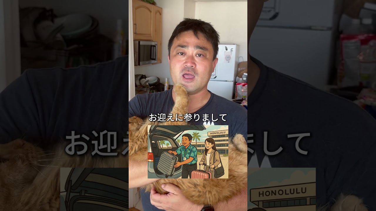 【質問コーナー】ABCストアお勧めは?#カワイイハワイツアー #ハワイツアー #ハワイ #ハワイ土産 #ハワイツアー #ハワイ 【質問コーナー】ABCストアお勧めは?#カワイイハワイツアー #ハワイツアー #ハワイ #ハワイ土産 #ハワイツアー #ハワイ