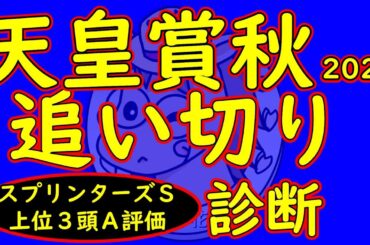 天皇賞秋2025追い切り診断！上位人気のミュージアムマイルやメイショウタバルは黄信号？逆に状態面の良さで逆転を狙う伏兵馬の方が不気味さ漂う！