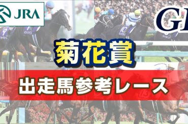 【参考レース】2025年 菊花賞｜JRA公式