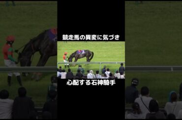 【感動】競走馬の異変に気づき心配する石神騎手🏇    #競馬 #競馬ライブ #感動する話 #在宅ワーク #副業 #ボートレース
