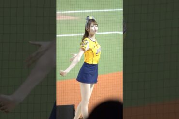 Passion Sisters 菊池桃子 「王威晨應援」 250329 開幕戰 台北大巨蛋