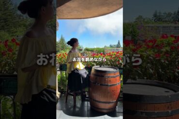 天空のテーマパーク！バナヒルズツアー参加レビュー🌤️