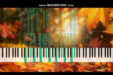 秋からも、そばにいて(Aki kara mo, soba ni ite / Stay by my side from autumn onwards)　南野　陽子(Yoko Minamino)