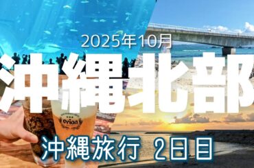 【沖縄旅行 3泊4日】#2 夫婦で北部バスツアー🚍 美ら海・古宇利島・アメリカンビレッジ