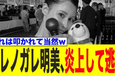 ダレノガレ明美、炎上して逃亡www
