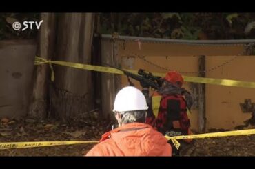 【速報】クマ２頭駆除　緊急銃猟による発砲は道内初　連日公園に出没の子グマと同一個体か　札幌市