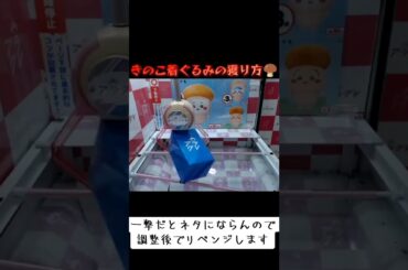 #クレーンゲーム #攻略 #末広がり #ちいかわ #きのこ  クレーンゲーム攻略  TikTok
