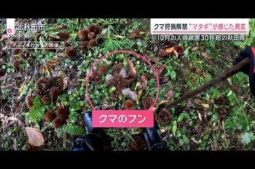 クマ狩猟解禁 “マタギ”が感じた異変 クマによる死者は過去最多12人【サタデーステーション】(2025年11月1日)