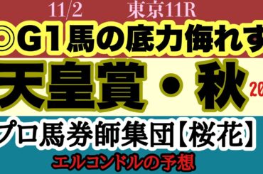 エルコンドル氏の天皇賞秋2025予想！！秋の大一番は今年は３歳馬が斤量恵まれ人気集めるも古馬とは初対戦！古馬か３歳馬か！結末は！？