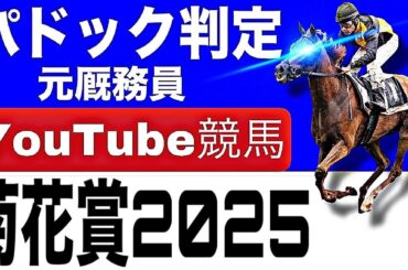 菊花賞2025完全予想！今年の注目馬とパドックを徹底解説！