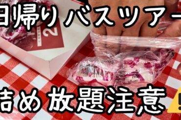 【コスパ最強！】1万円で詰め放題＆食べ放題の大人遠足🎃ハロウィンの萌木の村を散策｜新宿発・日帰りバスツアー