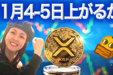 11月20日がトップになる説 アルトコインETFに賭ける大口投資家