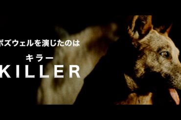 彼の名前は“キラー”　映画『ロードゲーム』＜犬予告!!＞