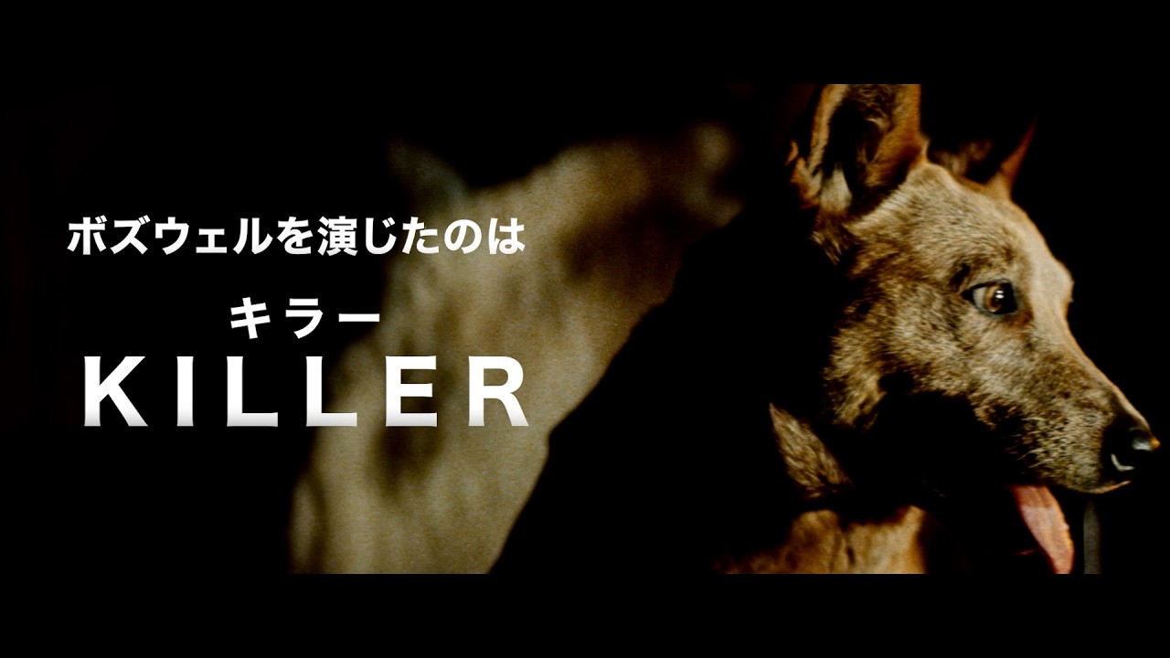 彼の名前は“キラー” 映画『ロードゲーム』<犬予告!!> 彼の名前は“キラー” 映画『ロードゲーム』<犬予告!!>
