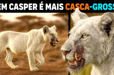 NEM CASPER SUPERA ISSO! Veja o filhote branco de Leão FERIDO que Desafia a Lógica!