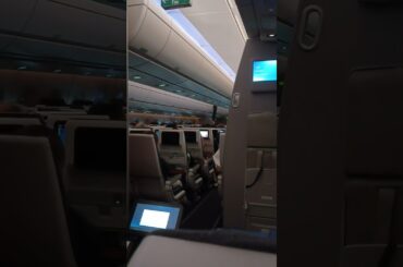 人生で１番恐怖でしかなかった飛行機＃shorts