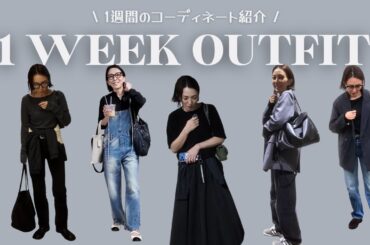 【Look Book】ニットの季節到来！リアルな1週間のコーディネートをお届け！#ootd #outfit #エディター #ファッション #コーディネート #lookbook #購入品 #新作