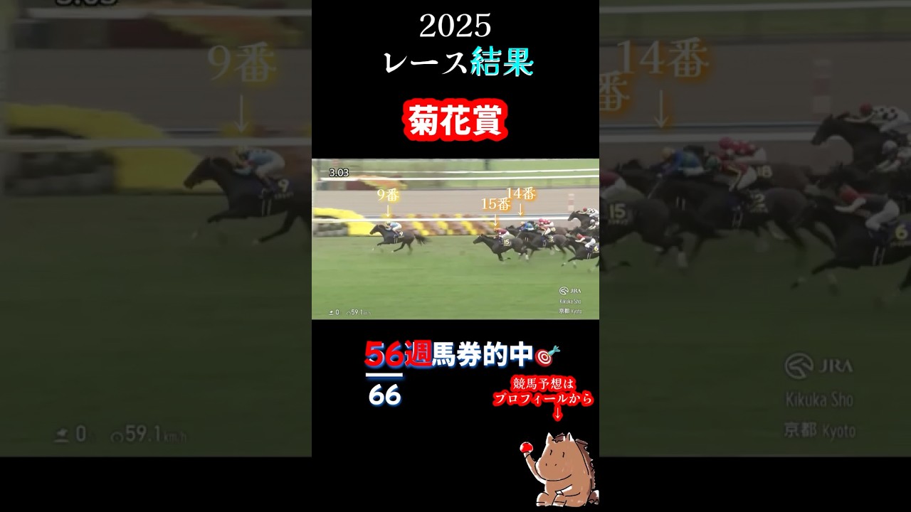 G1【菊花賞2025】レース結果🎯56週重賞馬券的中🎯#競馬 #重賞 #菊花賞 #的中 #shorts G1【菊花賞2025】レース結果🎯56週重賞馬券的中🎯#競馬 #重賞 #菊花賞 #的中 #shorts