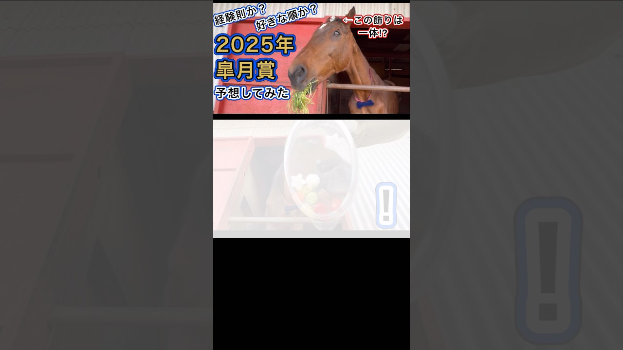 引退競走馬あかつき2025年皐月賞予想 ショート#horse #皐月賞 #なみあし会 引退競走馬あかつき2025年皐月賞予想 ショート#horse #皐月賞 #なみあし会