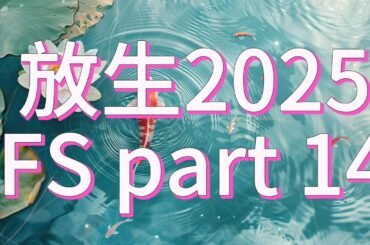 放生2025版了1010 FS part 14