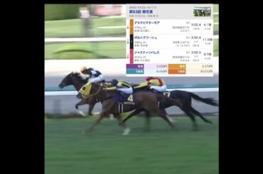 菊花賞GⅠ 過去レース結果　♯競馬　♯ウマ娘　♯京都　♯3000m