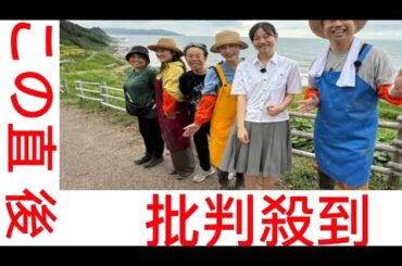 常盤貴子＆仲間由紀恵＆澤部佑、能登3人旅　千枚田で稲刈りに挑戦