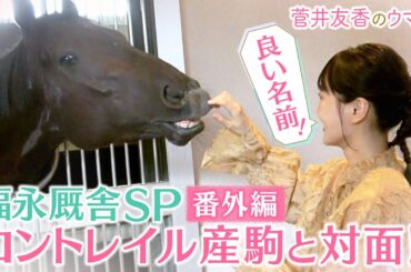 「すごく良い子で優等生」福永厩舎の気になるコントレイル産駒が登場！さらに厩舎の内部を見学！馬術部出身のゆっかーが気になるスペースが！＜菅井友香のウマ友になってくれませんか？＞