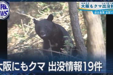 大阪でもクマ注意！【吉村知事呼びかけ】京都でも目撃情報続出