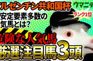【アルゼンチン共和国杯2025】JRA全レース先出し予想2025年70万超プラス収支！「霧プロ」の厳選注目馬＆危険な人気馬を特別公開！