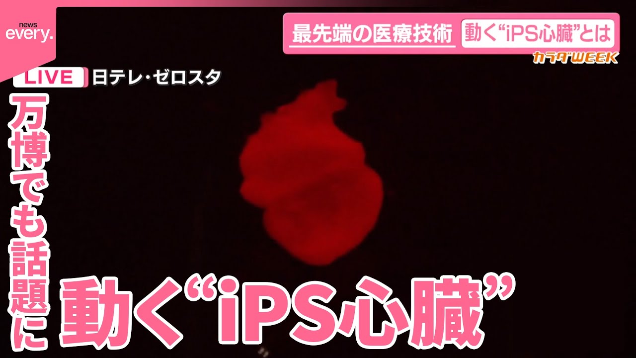 【カラダWEEK】最先端技術!動く“iPS心臓”重症患者治療に期待 万博でも話題に 無料で一般公開中 【カラダWEEK】最先端技術!動く“iPS心臓”重症患者治療に期待 万博でも話題に 無料で一般公開中