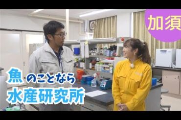 海なし県で魚の競り！？埼玉が誇る観賞魚の聖地！【いまドキッ！埼玉】2025.11.1放送